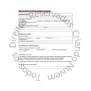 3 Modelos de documentos/relatórios essenciais