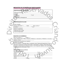 3 Modelos de documentos/relatórios essenciais