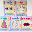 Kit Educacional "5 Sentidos"