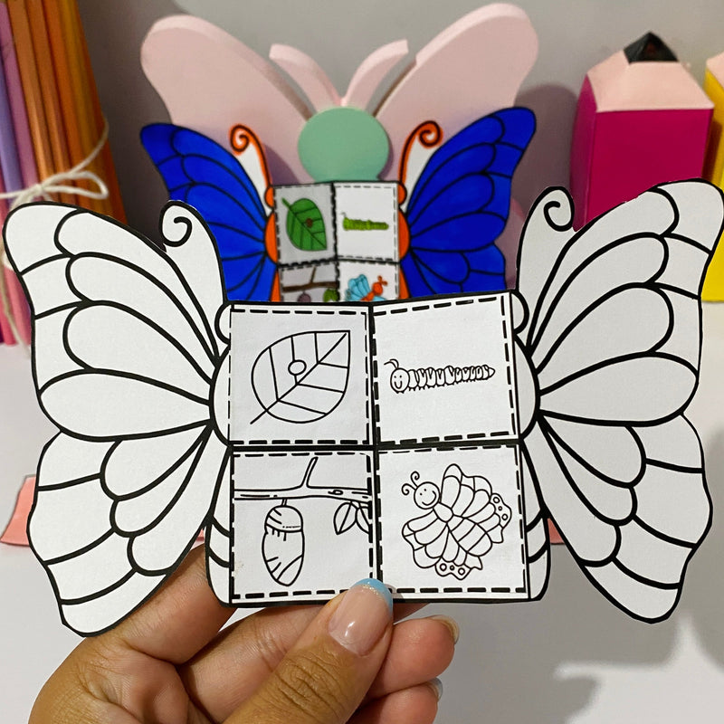 Ciclo da Borboleta - Pulseira + borboleta interativa