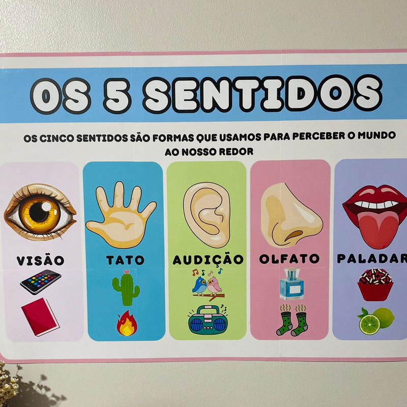 Os Cinco (5) Sentidos - Cartaz e atividade interativa