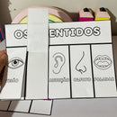 Os Cinco (5) Sentidos - Cartaz e atividade interativa