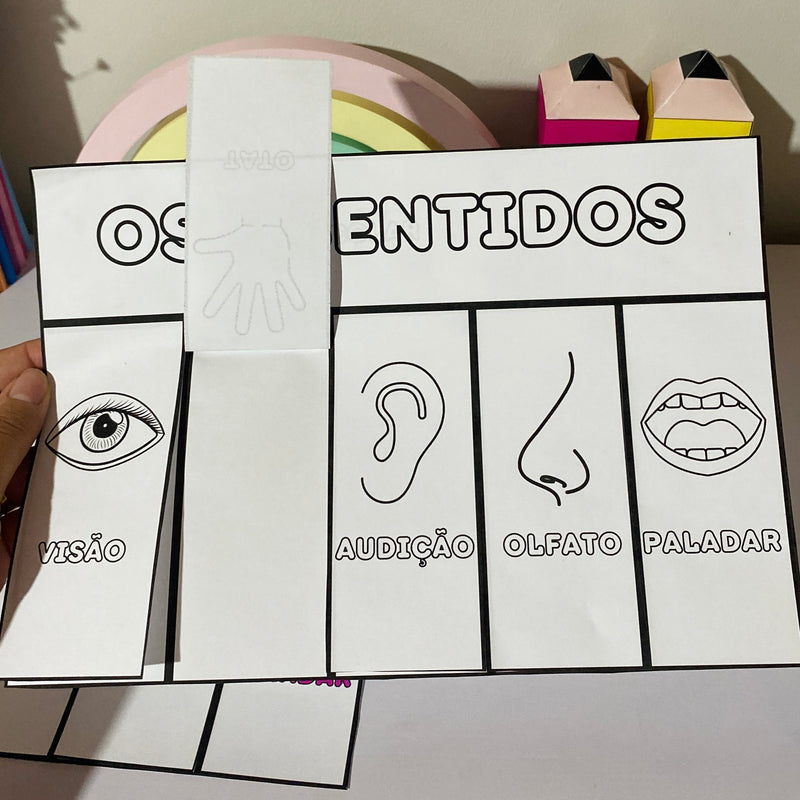 Os Cinco (5) Sentidos - Cartaz e atividade interativa