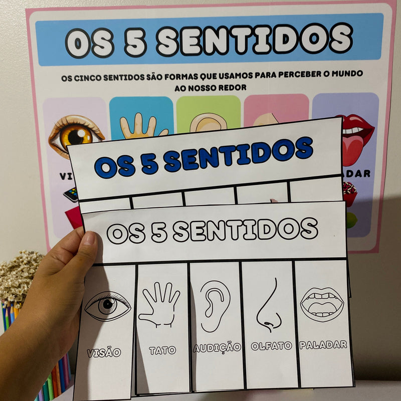Os Cinco (5) Sentidos - Cartaz e atividade interativa
