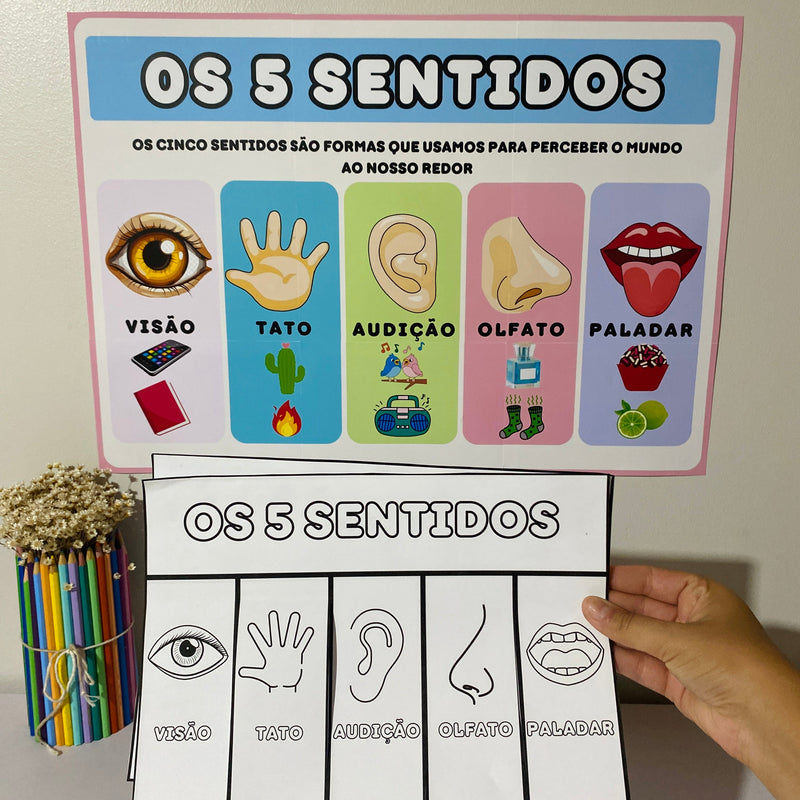 Os Cinco (5) Sentidos - Cartaz e atividade interativa