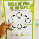 Ciclo de Vida do Sapo e da Borboleta – Atividades Interativas para Recorte e Colagem