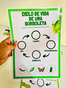 Ciclo de Vida do Sapo e da Borboleta – Atividades Interativas para Recorte e Colagem
